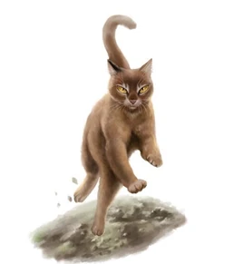 AntpeltWarriorsCHartwork