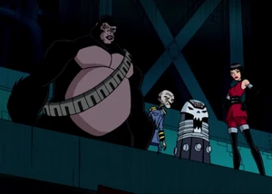 Madame Rouge (Teen Titans) | Villains Wiki | Fandom