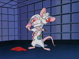 The Brain's Redemption