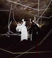 Hiachisaigomoweb.webp (8 KB) Kuriko in Saigomo's web