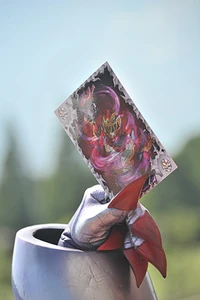 Pricious with a card containing the power of the Max RyusoulRed.