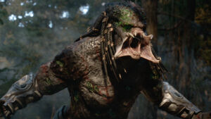 Ultimate Predator's raging breakdown.