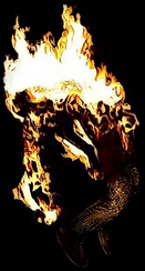 Jasper as Victim 17.