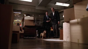 Garfield-movie-screencaps.com-6295.jpg (280 KB)