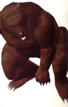 kumaちゃま素敵 Kuma.Sr | Tekken encyclopedia Wikia | Fandom