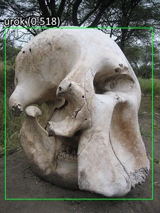 Urok's skull from SCP-001 (ROUNDERHOUSE's Bone Proposal).