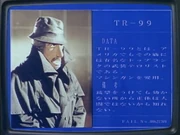 Profile of the TR-99 terrorist.