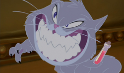 Yzma's cat form