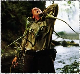 Dieter Stark's death