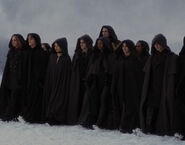 few members of The Volturi