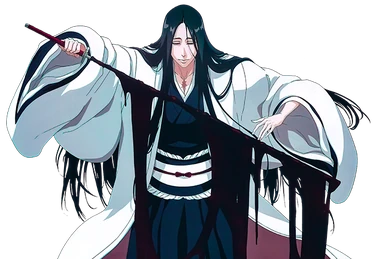 Bleach Anime 5th Anniversary Boxset | Bleach Wiki | Fandom