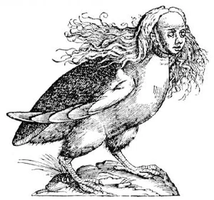 Harpies.