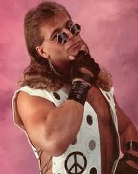 Shawn Michaels | Villains Wiki | Fandom