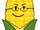 Steve Cobs