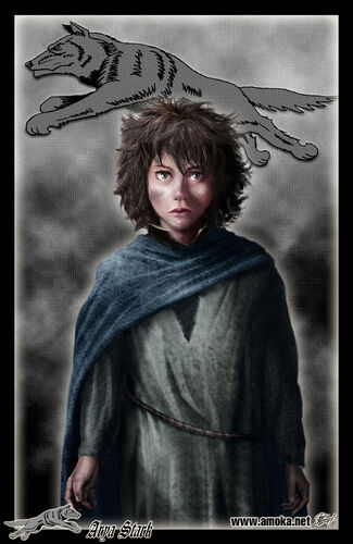 Arya Stark by Amok