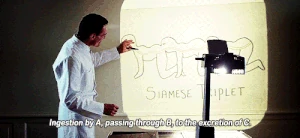 JosefTwo.gif (996 KB)