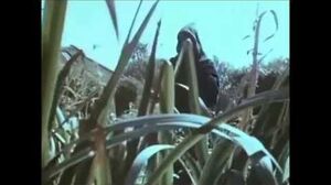 The Spirit Of Dark And Lonely Water (Public Information Film 1973)