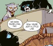 Tiny being bullied by his littermates