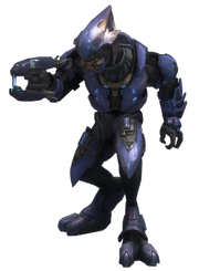 Elite Minor.png