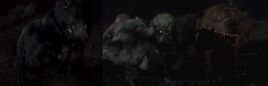 Mutated form