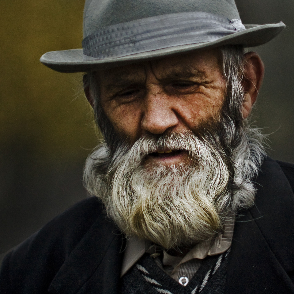 elderly man portrait