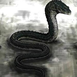 Basilisk Harry Potter Villains Wiki Fandom