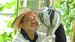 Archimedel admiring a Jyamato sapling.
