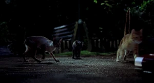 "Come back here, ya little rat!"