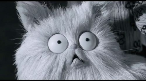 Mr. Whiskers looking at the sky.