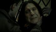 AlanRickmanSnape