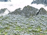 Bhavaagra.jpg (33 KB) Heaven