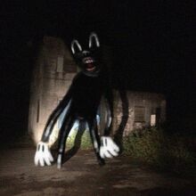 Cartoon Cat Villains Wiki Fandom There are 714 full body cartoon for sale on etsy, and they cost $28.32 on average. cartoon cat villains wiki fandom