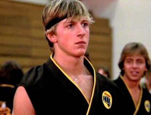 Johnny Lawrence | Villains Wiki | Fandom