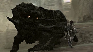 CelosiaWander2.jpg (253 KB)