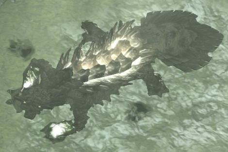 Kuromori, Wiki Shadow of the Colossus