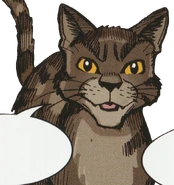 Mudclaw in Ravenpaw's Path