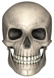 Skull-render