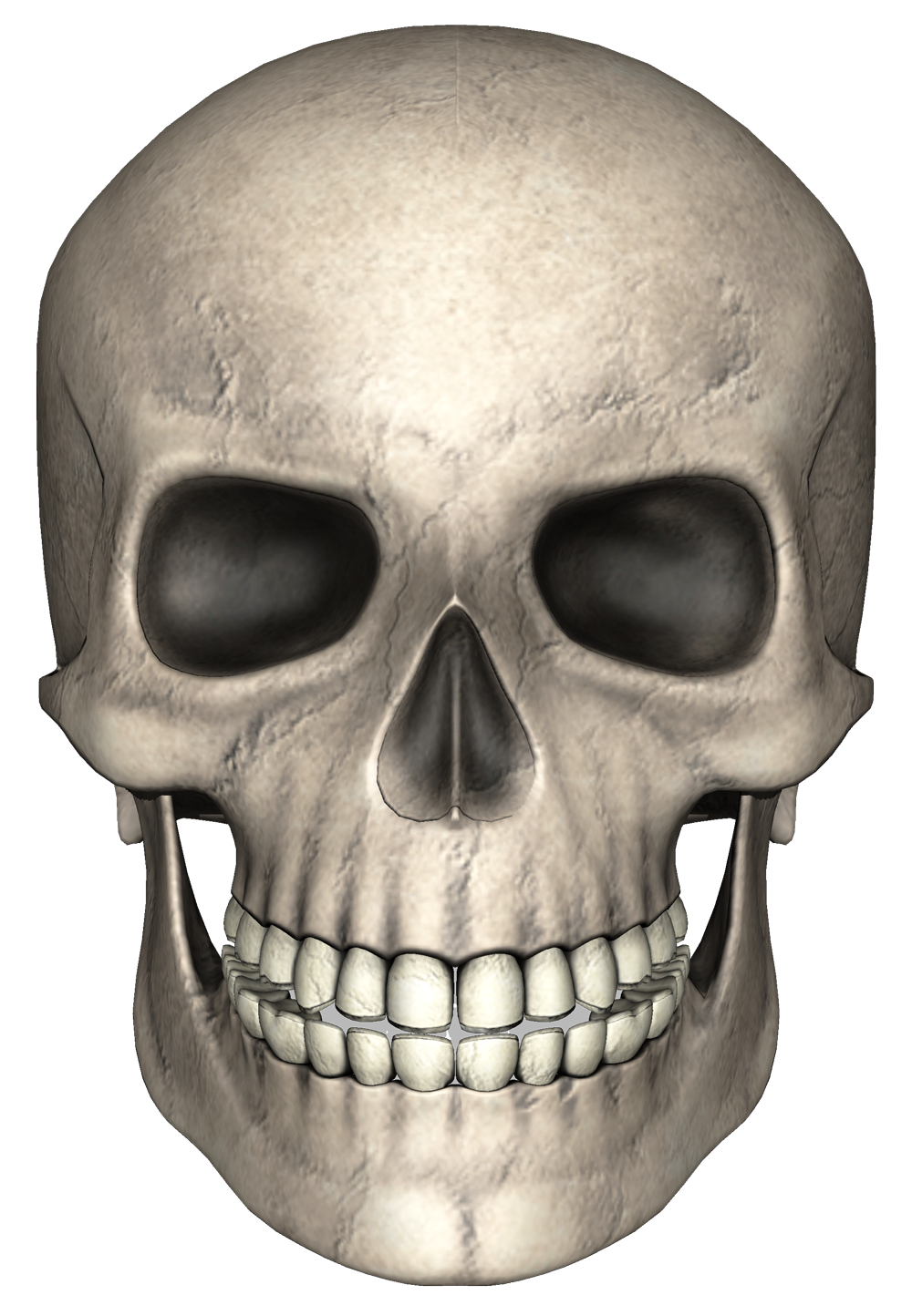Skull, Villains Wiki