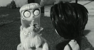 Mr. Whiskers staring at Victor.