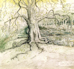 The Willow.jpg (926 KB)