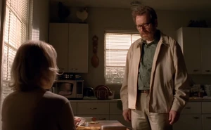 Walt's last conversation with Skyler.