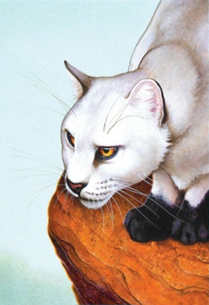 Чернозвезд коты воители