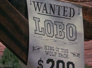 Bounty for Lobo