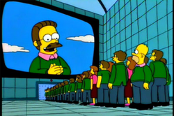 Nedflanders