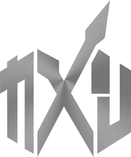 Zi-O logo