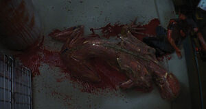 Spence's deceased body after getting killed by the monstrous Licker.