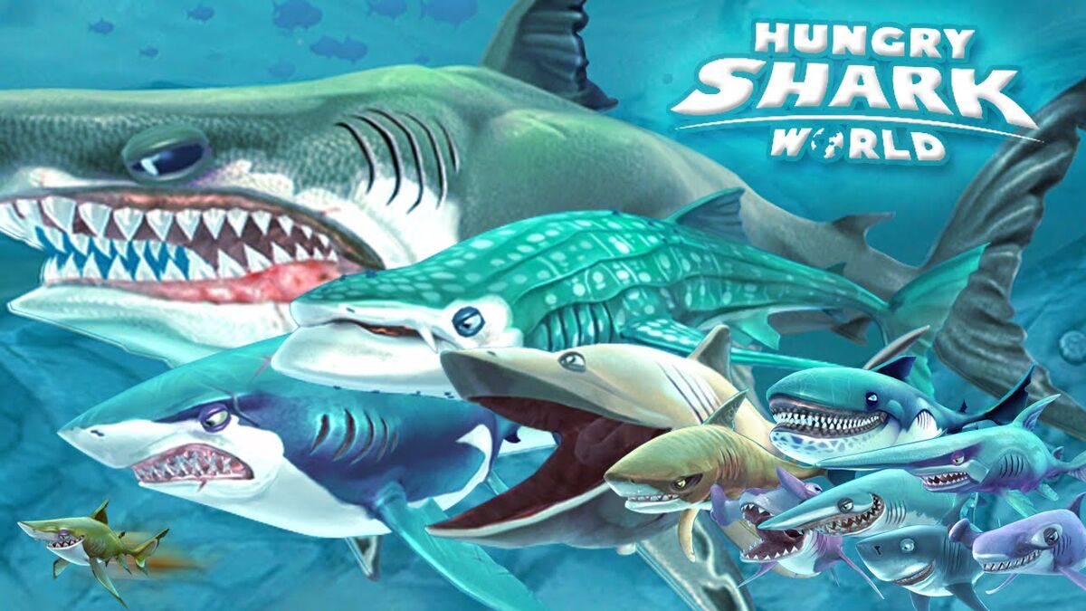 Hungry shark картинки