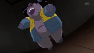 Pig