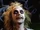 Beetlejuice (Beetlejuice)