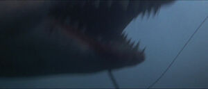 Jaws-movie-screencaps com-12345